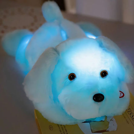 Peluche cane luminoso con luci LED