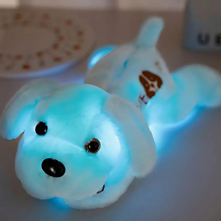Peluche cane luminoso con luci LED