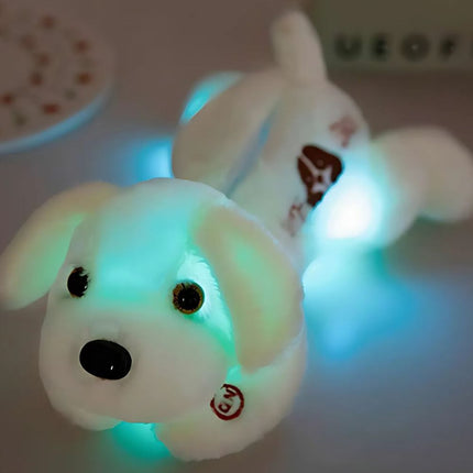 Peluche cane luminoso con luci LED