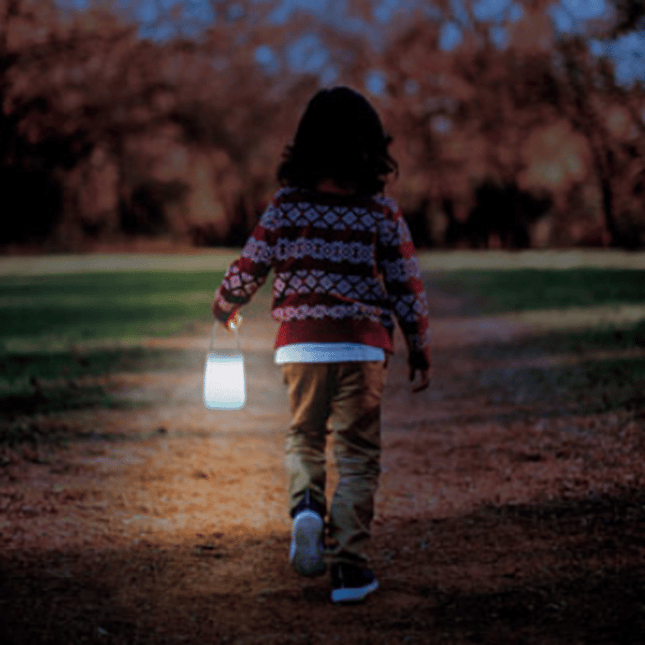 Lanterna portatile da tavolo ricaricabile USB