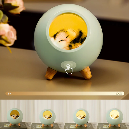 Lampada notturna gatto in cuccia ricaricabile