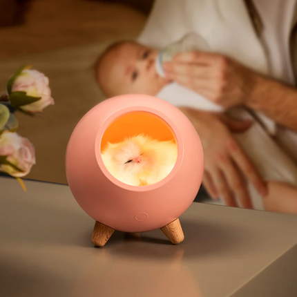 Lampada notturna gatto in cuccia ricaricabile