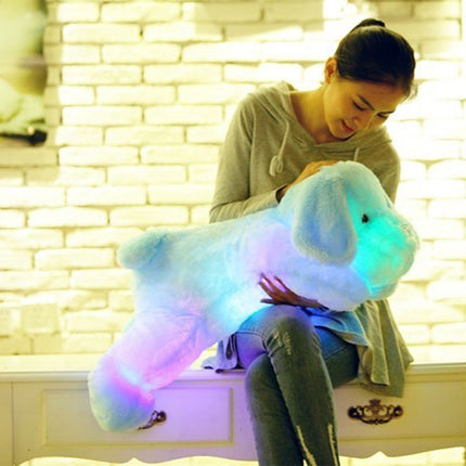 Luce notturna cane peluche bambini