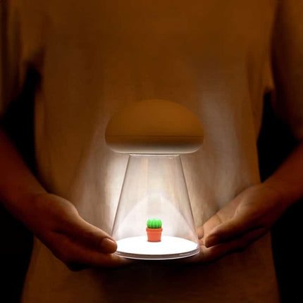 Lampada fungo musicale con interruttore touch